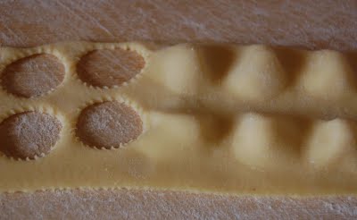 anolini: 8. obrázek